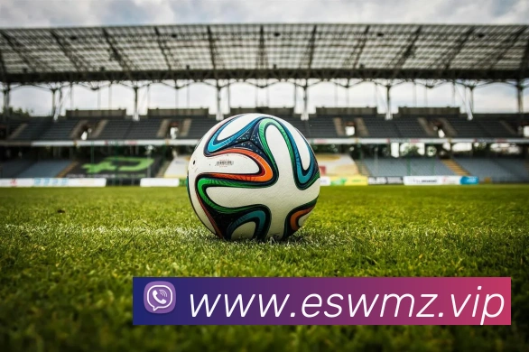 九游电子娱乐官网发展历程